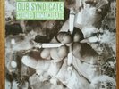 Dub Syndicate Stoned Immaculate Vinyl