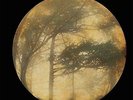 Berkana [VINYL] Golden Void Vinyl