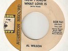 AL WILSON Now I Know What Love Is SOUL CITY PROMO  NORTHERN SOUL 45