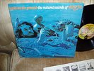 1967 Airto - Seeds On The Ground LP - Buddah NEAR MINT COPY....AWESOME