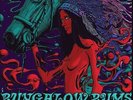 BUNGALOW BUMS - Lawless Days In Reservation - LP (colour) Nasoni