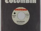 70s Soul 45 - Rick Sheppard - Can We Share It - Columbia - VG+ mp3 - promo