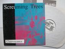 SCREAMING TREES Clairvoyance LP 1986 Debut Indie PSYCH Punk GRUNGE Mark Lanegan