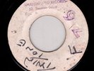 PIONEERS - SHAKE IT UP / RUDIES ARE THE GREATEST - AMALGAMATED JA BLANK