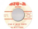 Big-K Records 45 - The White Riders - Stand Up & Be Counted / Dixie Johnny rebel