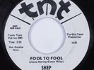 Northern Soul 45 SHEP Fool To Fool TNT promo HEAR