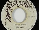 Bob Andy 