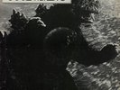 Blue Oyster Cult Godzilla Live 12