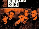 BROILERS - (SIC )