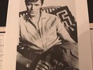 David Bowie Lodger BOW LP 1 RCA Lp 1979 With Rare Promo Press Shots Vinyl Record