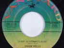 R&B Soul 45 JUNIOR WELLS Stomach Ache VANGUARD HEAR