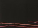 City And Colour-Bring Me Your Love (2LP/180gr)  VINYL NEW