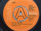 Sweet Fox On The Run 7