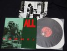 ALL - Pummel Vinyl LP 1996 Descendents