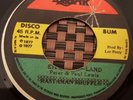 Peter & Paul Lewis Ethiopian Land Killer Roots 7