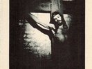 Bummer Bitch Freestone Akashic Records Collectors 45 rpm Punk Single 1978