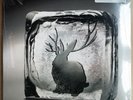 Miike Snow - Miike Snow - 2* 12
