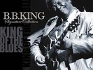 B.B. King - King Of The Blues - Vinyl 2 LP