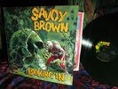 CLEAN  1970 ORIG   SAVOY BROWN   LOOKING IN   HARD DRIVING BLUES - PRE FOGHAT