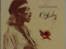 JIMI HENDRIX: Crash Landing WEST GERMANY Polydor 2459 395 Vinyl LP NM