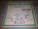 RARE NEW ORLEANS POWER POP SYNTH PUNK LP COMPILATION AWAKEN THE SOUND NEAR MINT
