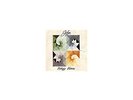 Making Mirrors [VINYL] Gotye Vinyl