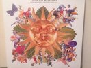 TEARS FOR FEARS- Tears Roll Down (Greatest Hits 82-92) Stunning Copy  Vinyl LP
