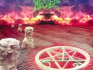 Morbid Angel : Domination LP RE