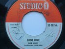 BOB ANDY - Going Home / SOUND DIMENSION - Straight Flush - STUDIO ONE '68  UK 7