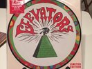 13th Floor Elevators Record Store Day 2016 You're Gonna Miss Me Picture Disc