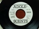 ADOLESCENTS- WELCOME TO REALITY-  7