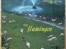 Rare Original The Flamingos 1959 Debut on Checker 1433 Deep Groove