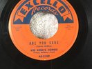 Kid King's Combo - Are You Sure/Hob Nob * Excello R&B 45