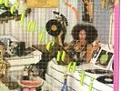 Rejuvenation [Bonus Tracks] by The Meters (Vinyl, Dec-2013, Music on Vinyl)