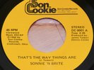 SONNIE 'N BRITE-Rare Modern Soul 45-That's The Way Things Are-SON COOKIE-NOS-NM-