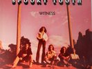 Spooky Tooth - Witness - sehr gute LP - Island Records von 1973