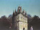 Temples-Sun Structures  VINYL NEW