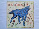 Los Lobos How Will The Wolf Survive 1984 Slash Precision Monarch Promo Press EX