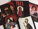 T.Rex / Bolan - History of T.Rex - Singles Pic Disc Box Set - print proofs  RARE
