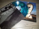 Pink Floyd The Division Bell BLUE LP record