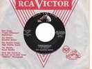 Mod R&B Rocker 45 QUARTER NOTES Punkanilla/The Interview HEAR Wild Tunes