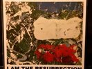Stone Roses I Am The Resurrection 12