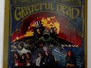 GRATEFUL DEAD S/T SELF TITLED RARE ORIG 1ST WB 1689 GOLD MONO IN SHRINK NM- GEM