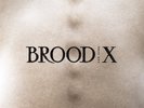 BOSS HOG - BROOD X (180 GR VINYL/TRIFOLD/MP3-CODE)   VINYL LP NEUF