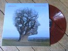 PINK FLOYD Brave new world LP Live New York 77 Vynil couleur