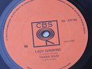 Tamam Shud Lady Sunshine/Evolution '69 NM OZ Prog Psych Surf 45