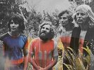 Evolution [VINYL] Tamam Shud Vinyl