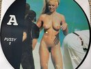 Madonna - Erotica Interview 92 (PUSSY 1) - Rare German Limited picture disc 12