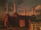 PINK FLOYD Animals LP COLUMBIA JC 34474 original press VG++
