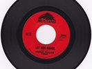 Bobby Fuller Four 
